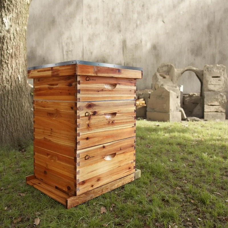 Beehive Frame Wax - Kompletny zestaw ula 10-ramkowej, ula powlekana