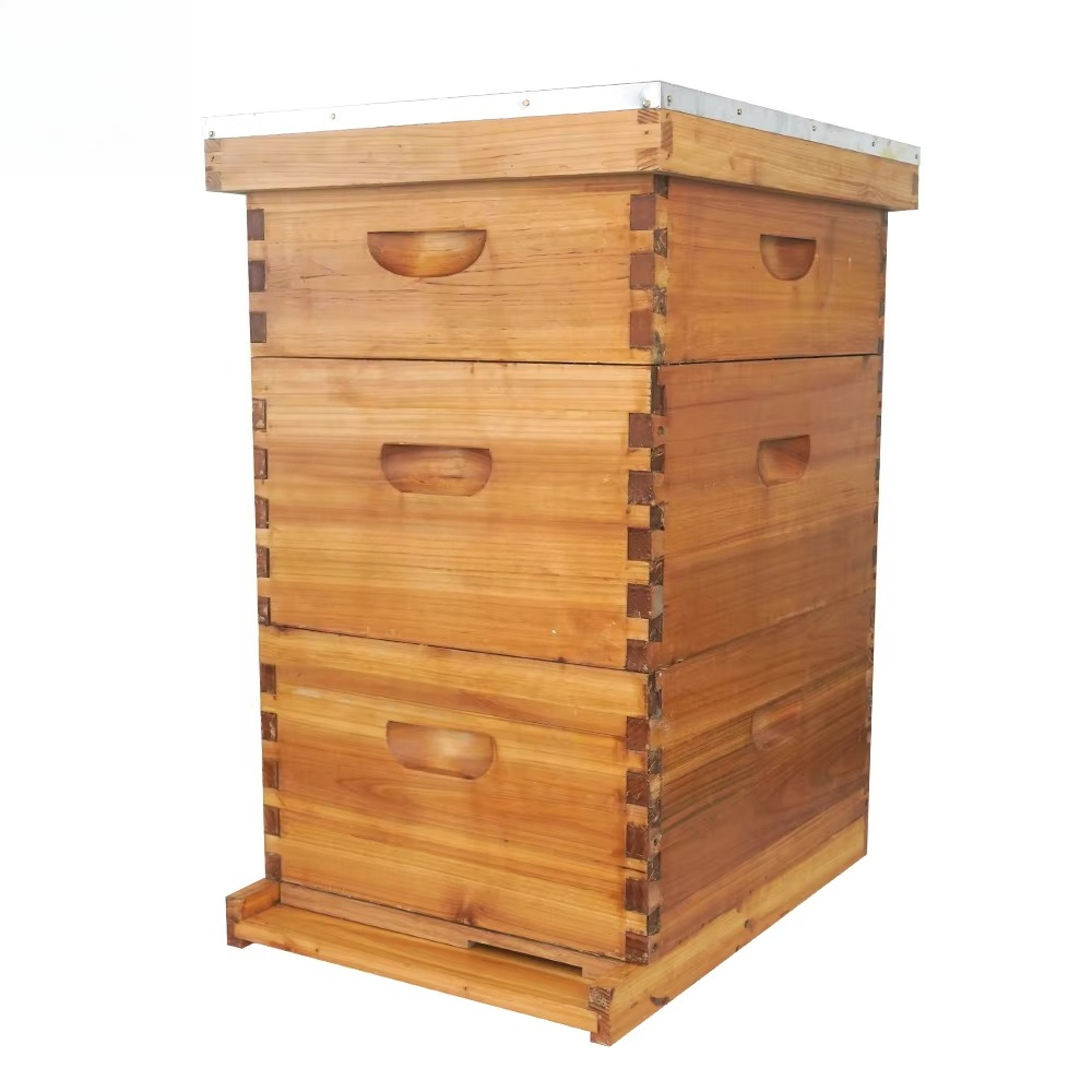 Beehive Frame Wax - Kompletny, 3-warstwowy, woskowany ul Langstroth, 10