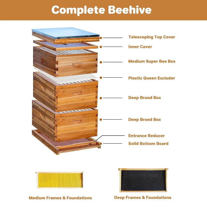 Kompletny zestaw ula 10-ramkow – Beehive Frame Wax recenzja i cena