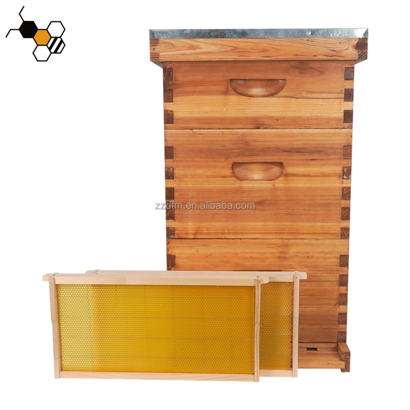 Wysokiej jakości zestaw do ula – Beehive Frame Wax recenzja i cena