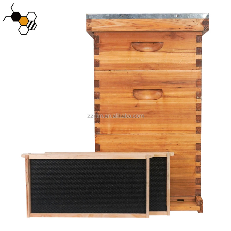 Wysokiej jakości zestaw do ula – Beehive Frame Wax recenzja i cena