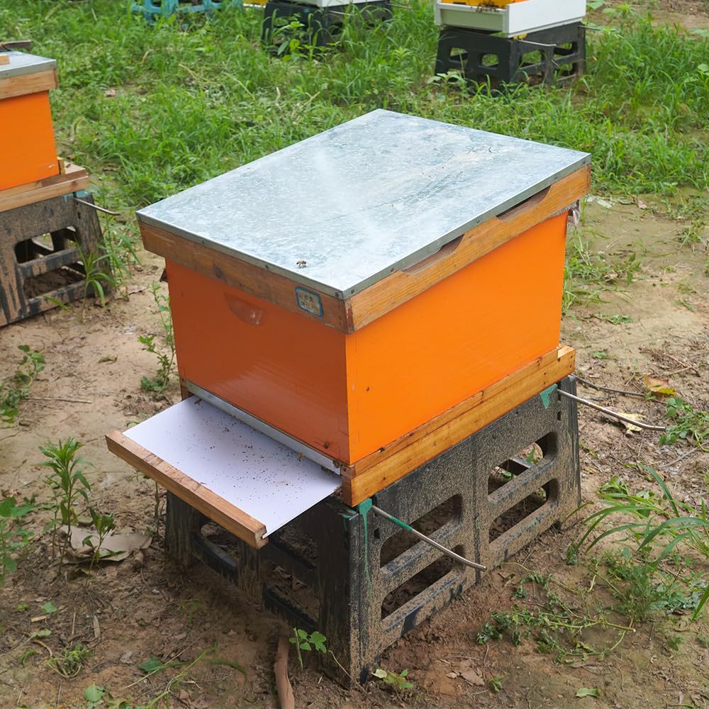 Dziesięciokomorowy ul z przesu – Beehive Frame Wax recenzja i cena