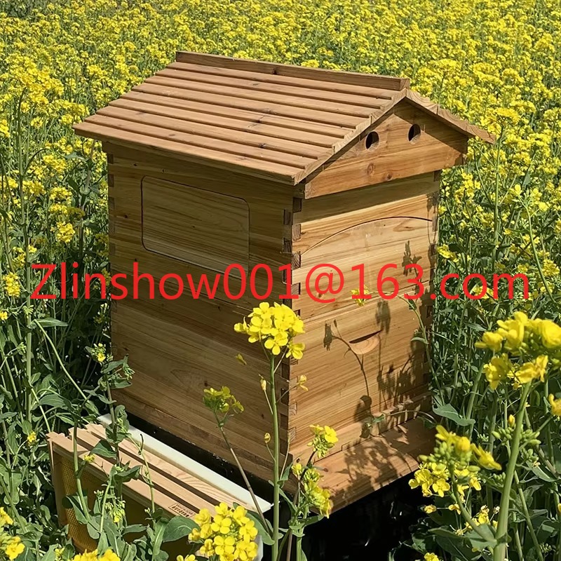 Automatyczny ul pszczeli z 7 a – Beehive Frame Wax recenzja i cena