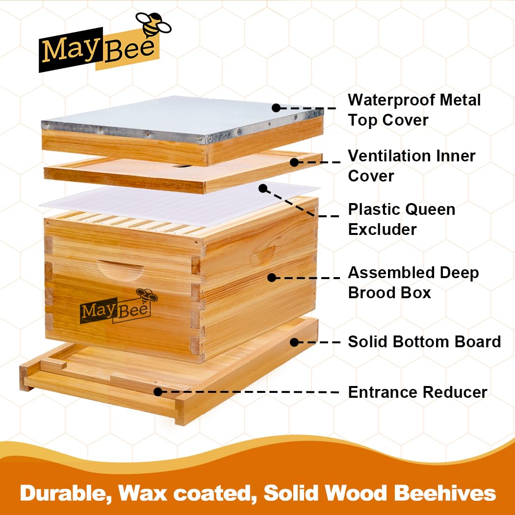 Zestaw 8-ramkowy do ula, ramki – Beehive Frame Wax recenzja i cena