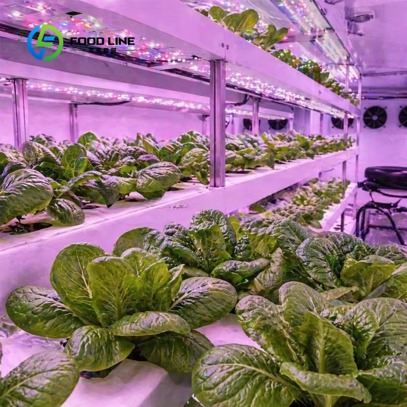 Hydroponiczna farma kontenerow – Farming Agriculture Project recenzja i cena