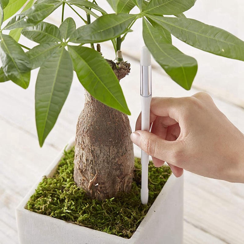 Aquameter, 5 sztuk, czujnik wi – Soil Moisture Sensor recenzja i cena