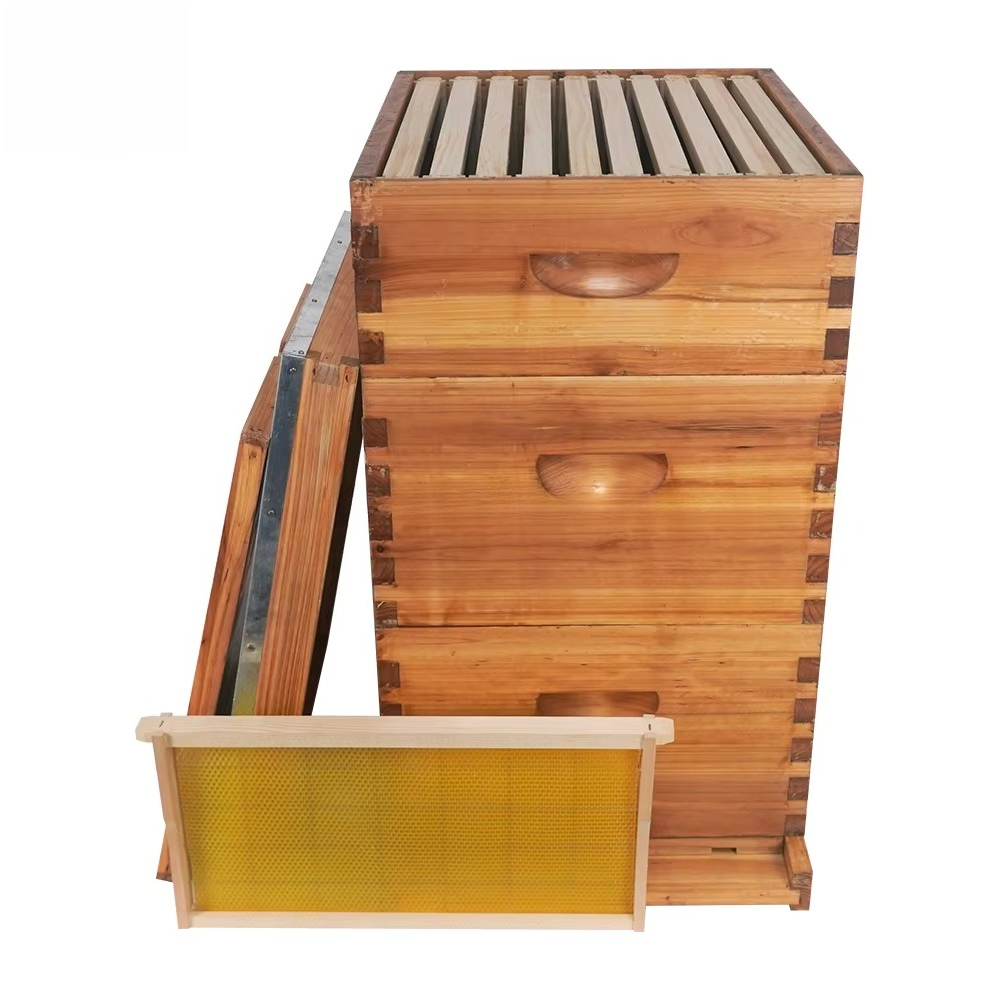 Kompletny, 3-warstwowy, woskow – Beehive Frame Wax recenzja i cena