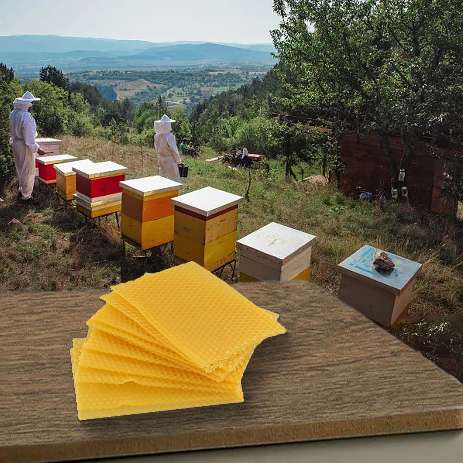 Ramki do uli z woskiem 9cm524x – Beehive Frame Wax recenzja i cena